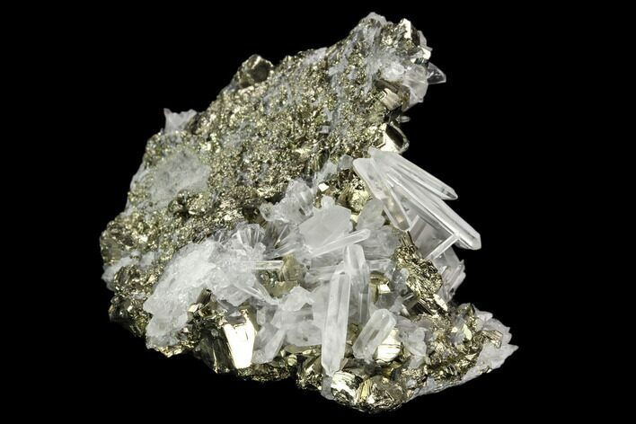 Gleaming Pyrite & Quartz Crystal Association - Peru #124439